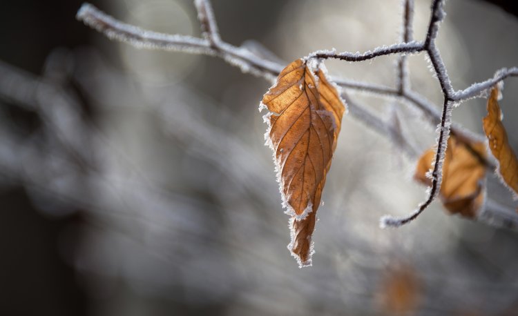 image_750x_685c78528f084